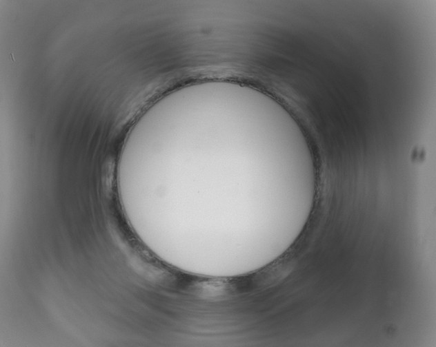 X0000111220118200907021009