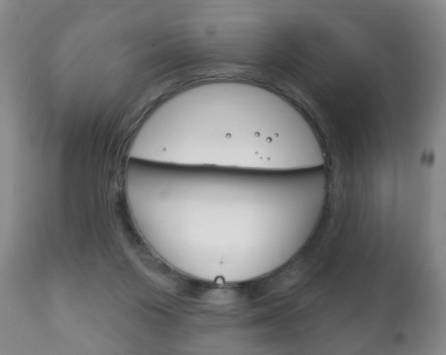 X0000111220119200907021009