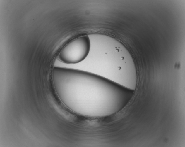 X0000111220120200907021009