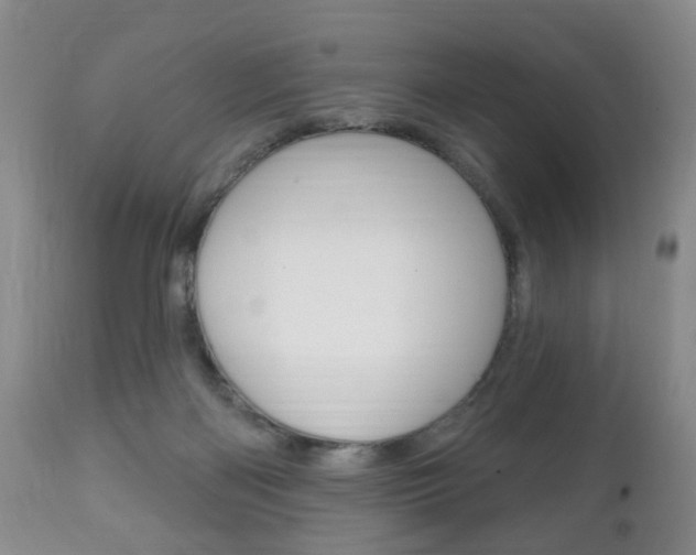 X0000111220122200907021009