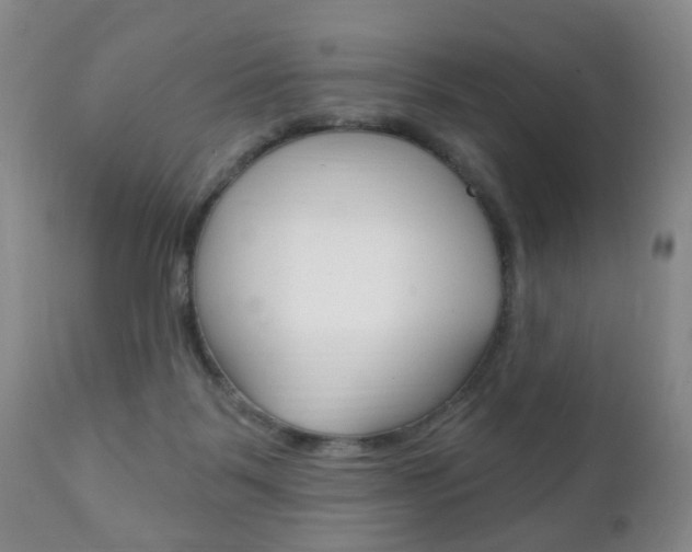 X0000111220123200907021009