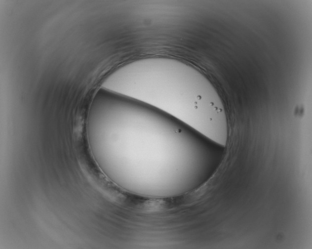 X0000111220124200907021009