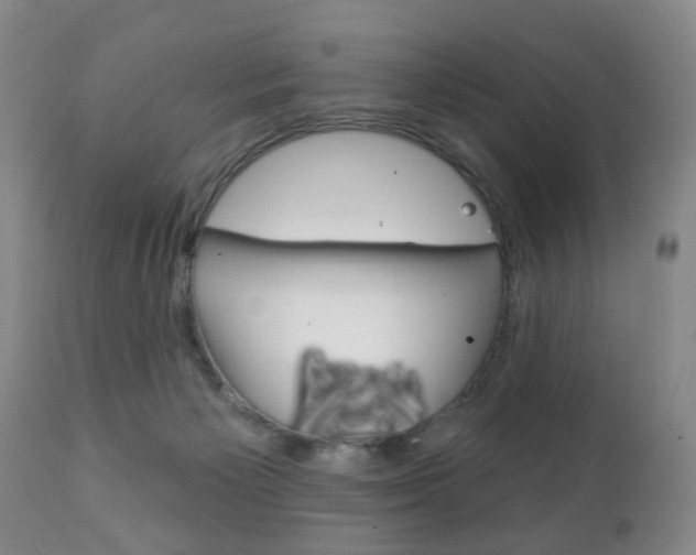 X0000111220125200907021009