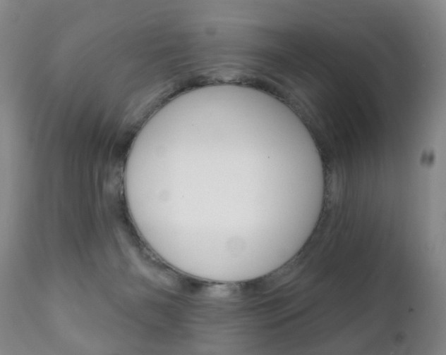 X0000111220126200907021009