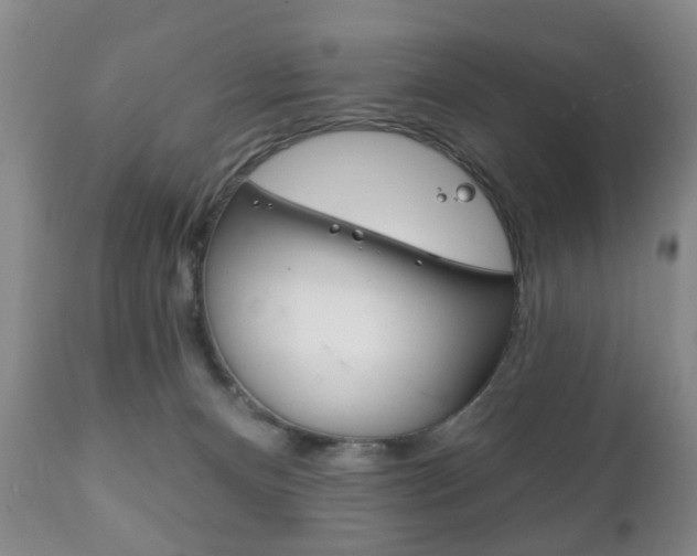 X0000111220128200907021009