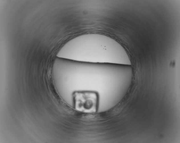 X0000111220129200907021009