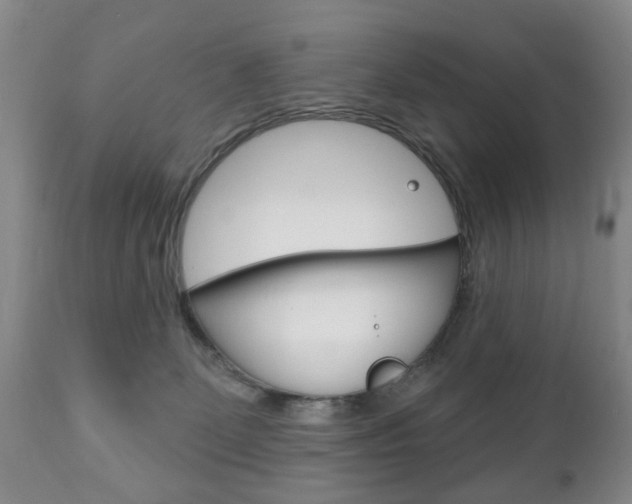 X0000111220131200907021009
