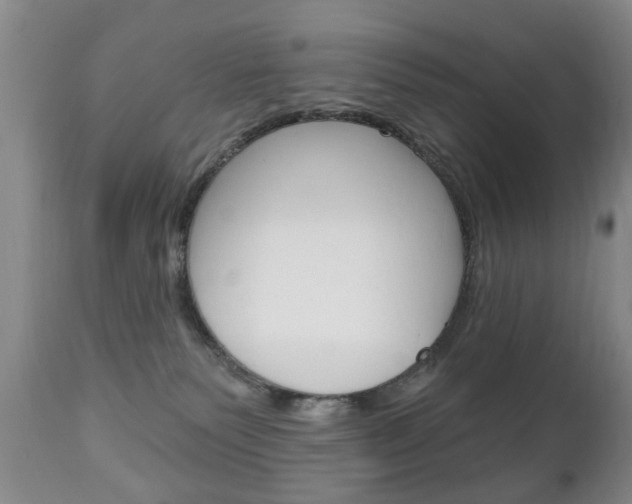 X0000111220135200907021009