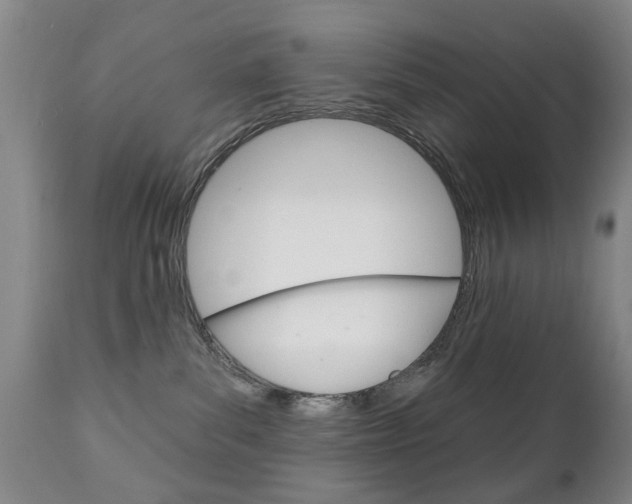 X0000111220139200907021009
