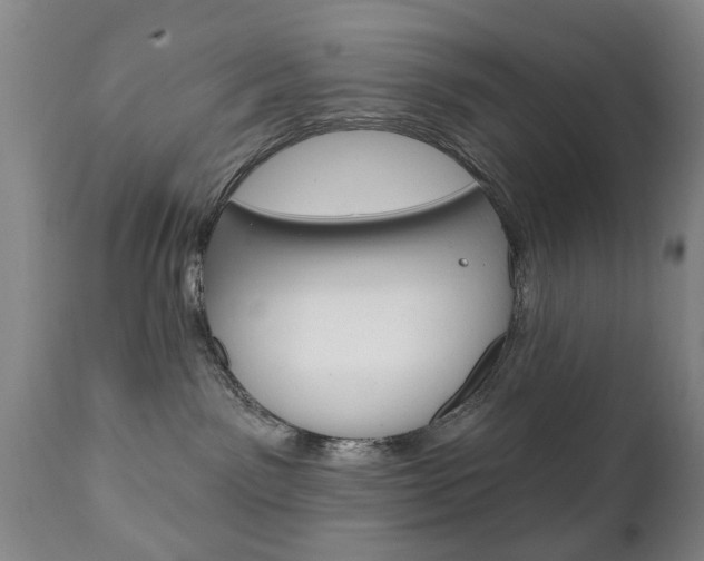 X0000111220141200907021009