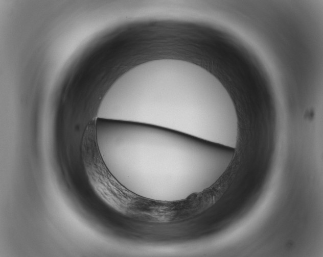 X0000111220143200907021009
