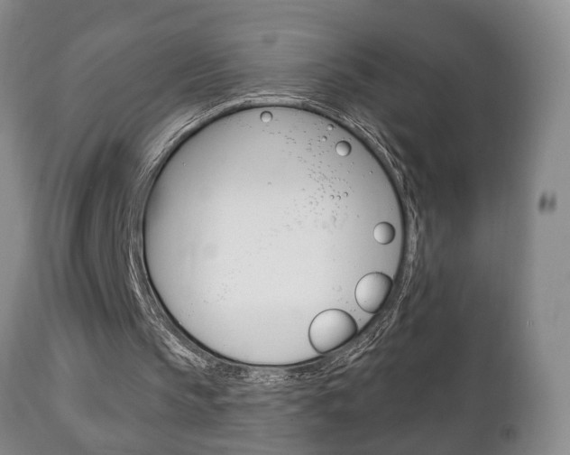 X0000111220145200907021008