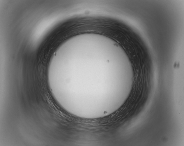 X0000111220146200907021008