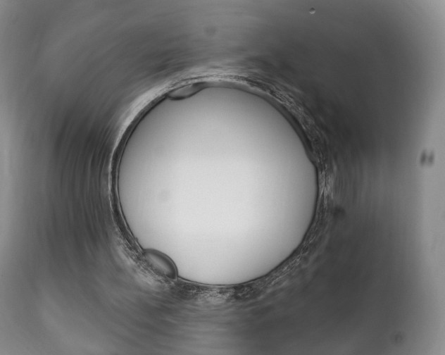 X0000111220148200907021008