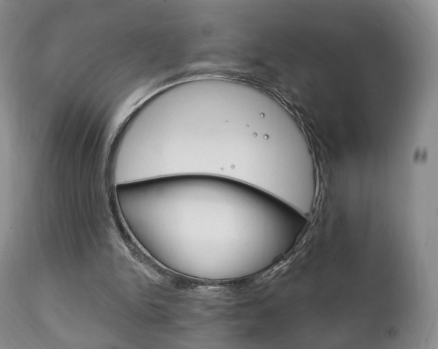 X0000111220150200907021008