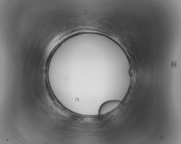X0000111220151200907021008
