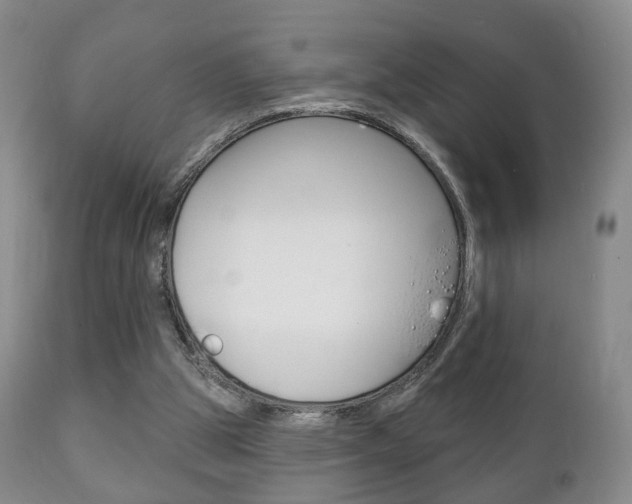 X0000111220153200907021008