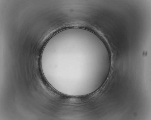 X0000111220154200907021008
