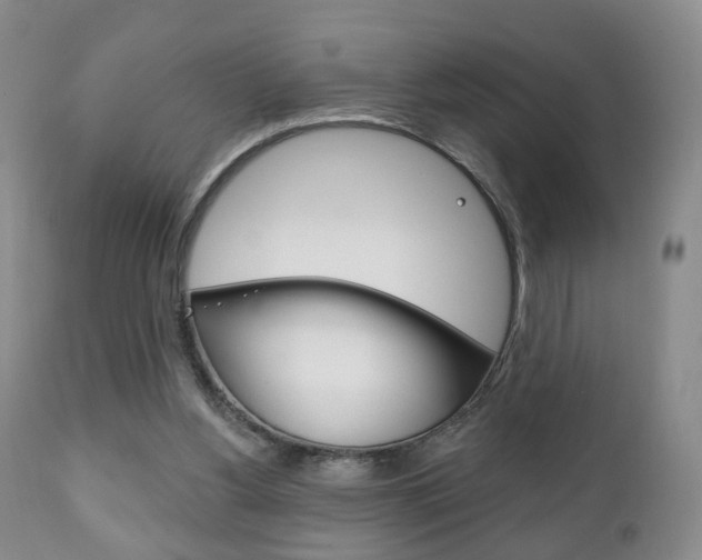 X0000111220156200907021008