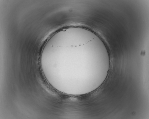 X0000111220159200907021009