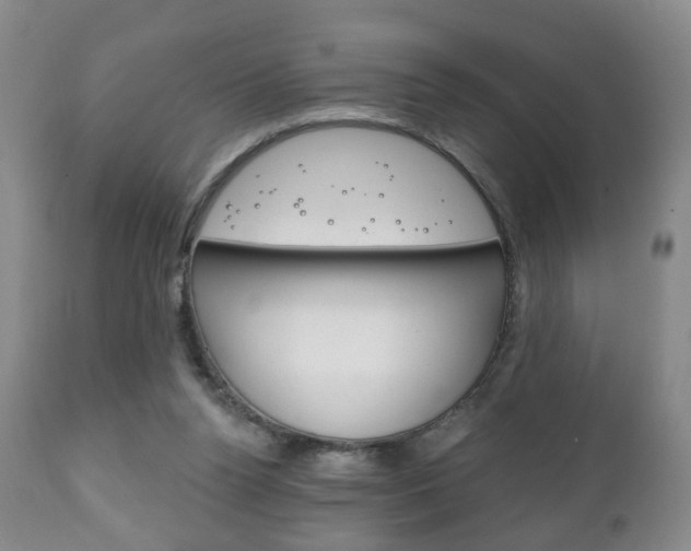 X0000111220160200907021009