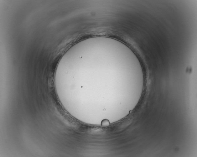X0000111220161200907021009