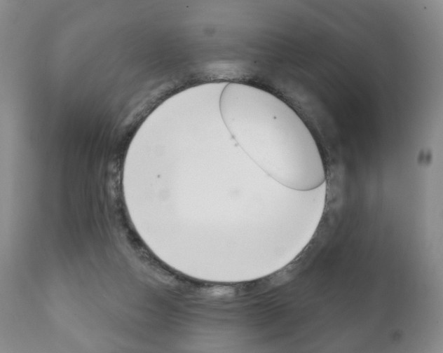 X0000111220162200907021009