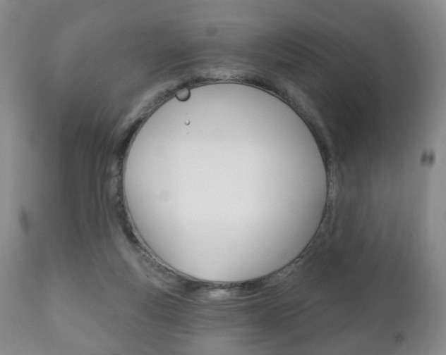 X0000111220163200907021009