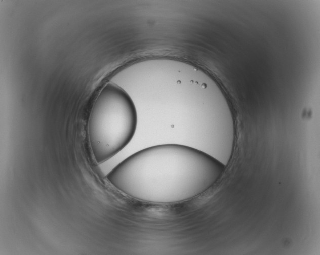 X0000111220164200907021009