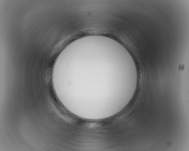 X0000111220165200907021009