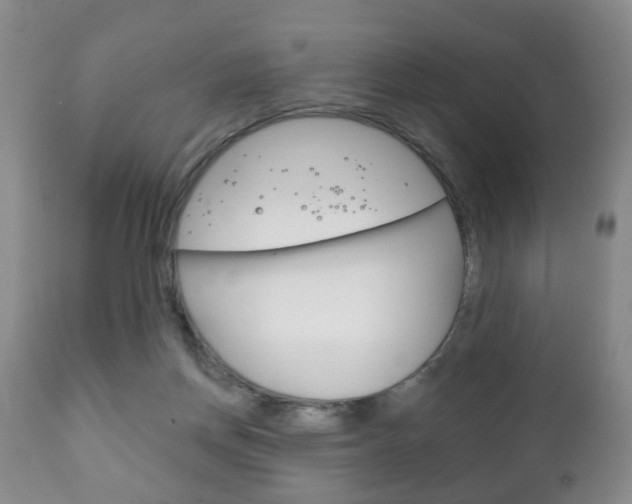 X0000111220166200907021009