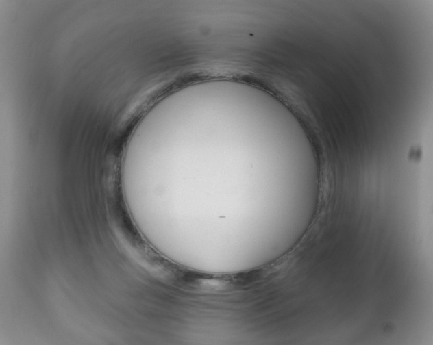 X0000111220167200907021009