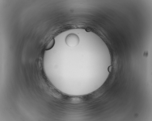 X0000111220169200907021009