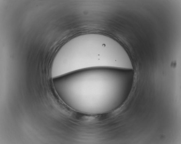 X0000111220170200907021009