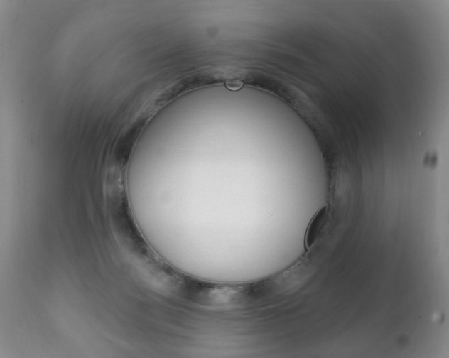 X0000111220172200907021009