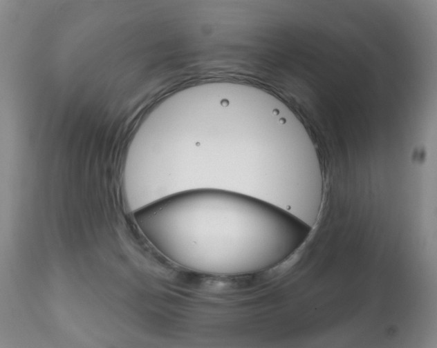 X0000111220174200907021009