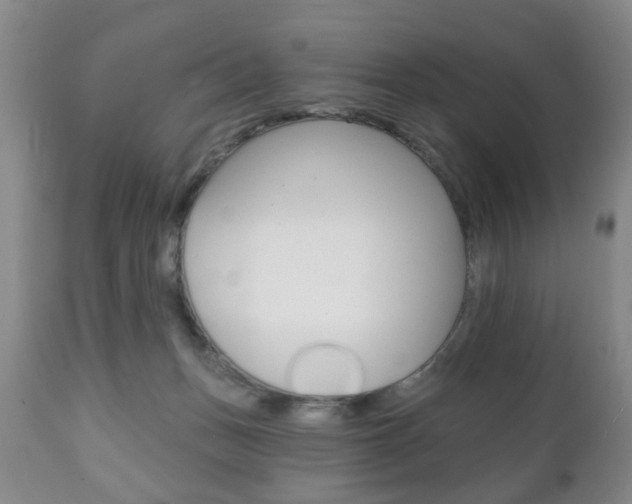 X0000111220175200907021009