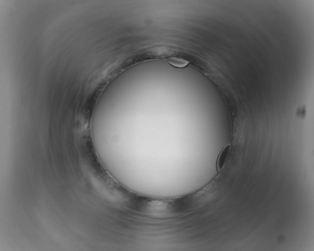 X0000111220176200907021009