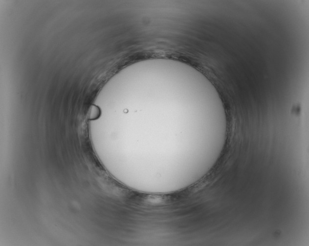 X0000111220177200907021009