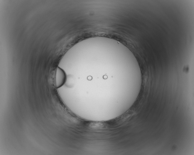 X0000111220181200907021009