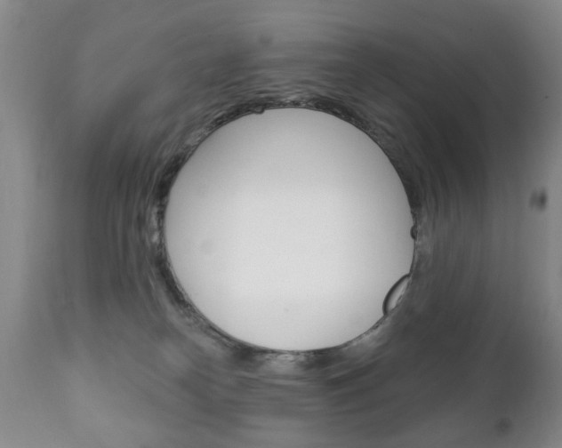 X0000111220182200907021009