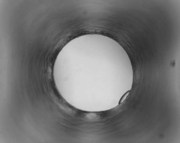 X0000111220183200907021009