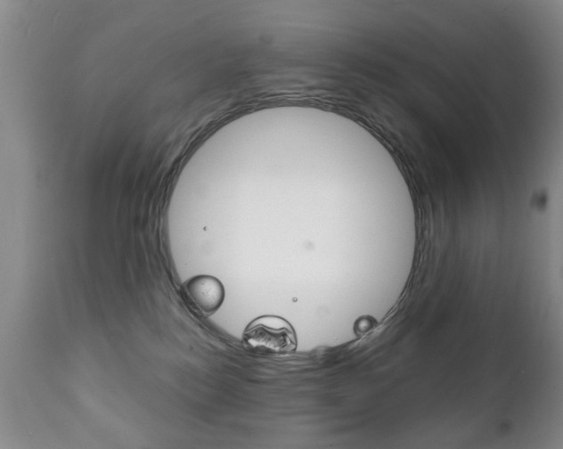 X0000111220184200907021009