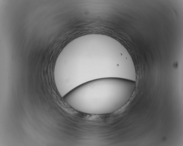 X0000111220186200907021009