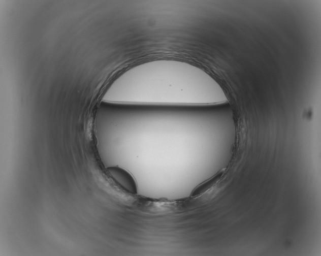 X0000111220188200907021009