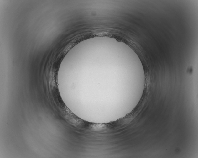 X0000111220189200907021009