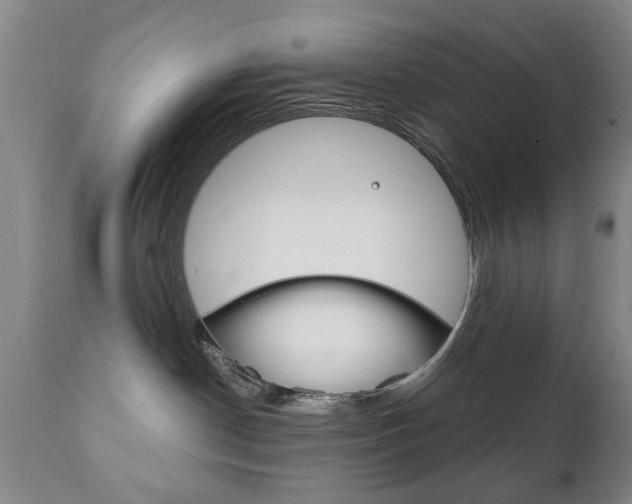 X0000111220190200907021009