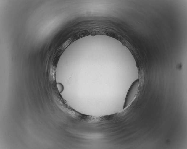 X0000111220191200907021009