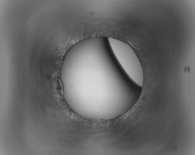 X0000111220192200907021009