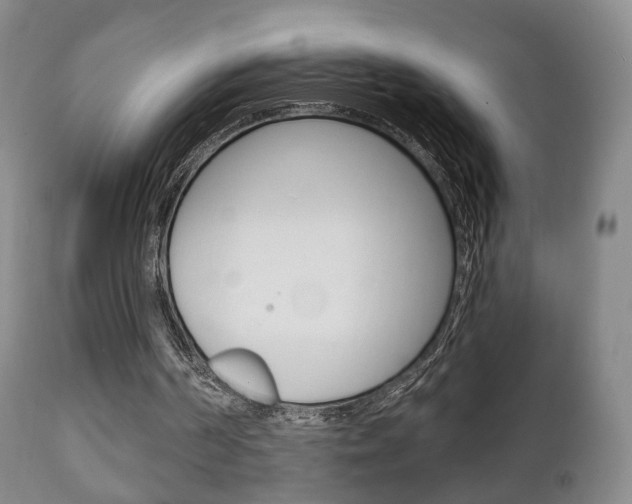 X0000111220194200907021008